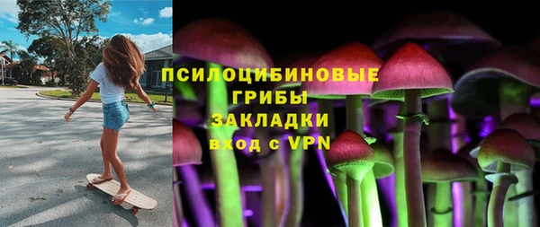 мяу мяу мука Аркадак