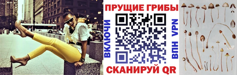 Купить  Волосово  Псилоцибиновые грибы мухоморы 