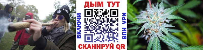 Бошки Шишки конопля  Купить  Волосово 